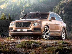 Превью обои bentley, bentayga, коричневый, вид сбоку