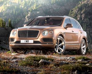 Превью обои bentley, bentayga, коричневый, вид сбоку