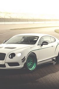 Превью обои bentley, continental, gt3-r, белый, вид сбоку