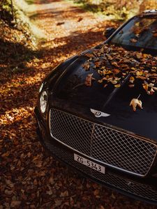 Превью обои bentley continental gt, bentley, автомобиль, черный, листья