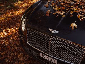 Превью обои bentley continental gt, bentley, автомобиль, черный, листья