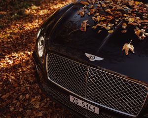 Превью обои bentley continental gt, bentley, автомобиль, черный, листья