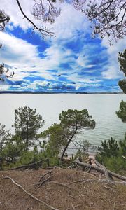 Превью обои берег, деревья, озеро, облака