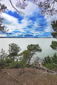Превью обои берег, деревья, озеро, облака