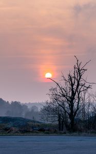 Превью обои берег, деревья, озеро, туман, солнце, закат