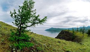 Превью обои берег, дерево, камни, земля, трава, озеро, сибирь