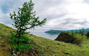 Превью обои берег, дерево, камни, земля, трава, озеро, сибирь