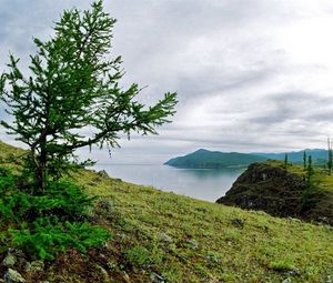 Превью обои берег, дерево, камни, земля, трава, озеро, сибирь