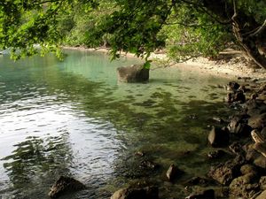 Превью обои берег, камни, дерево, наклон, ветви, вода, тина