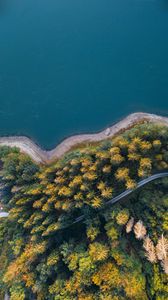 Превью обои берег, лес, вода, вид сверху