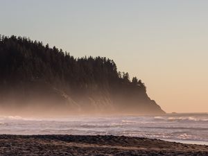 Превью обои берег, море, холм, деревья, природа