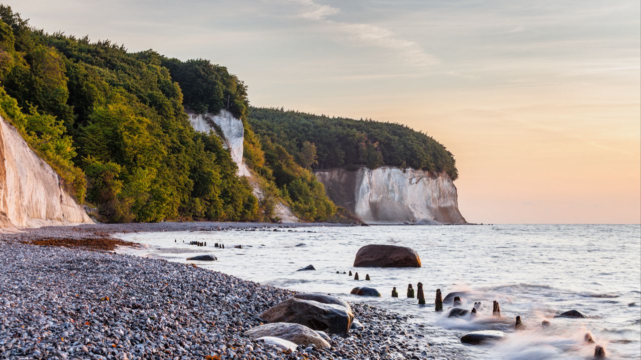 Обои берег, море, камни, скала, деревья