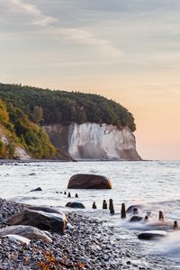 Превью обои берег, море, камни, скала, деревья