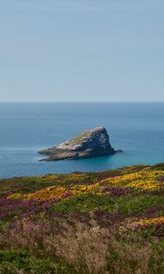 Превью обои берег, море, скала, трава, цветы, природа