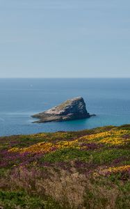 Превью обои берег, море, скала, трава, цветы, природа