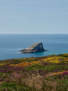 Превью обои берег, море, скала, трава, цветы, природа