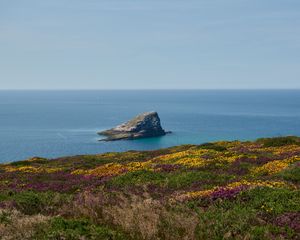 Превью обои берег, море, скала, трава, цветы, природа