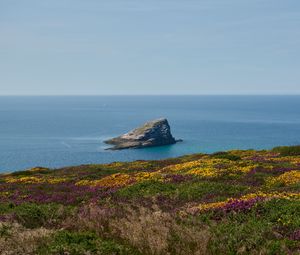 Превью обои берег, море, скала, трава, цветы, природа