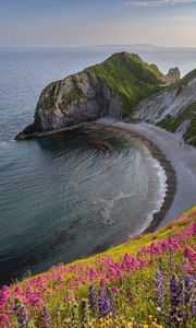 Превью обои берег, море, скала, цветы, обрыв, пейзаж