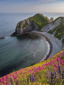 Превью обои берег, море, скала, цветы, обрыв, пейзаж