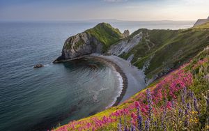 Превью обои берег, море, скала, цветы, обрыв, пейзаж