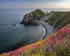 Превью обои берег, море, скала, цветы, обрыв, пейзаж