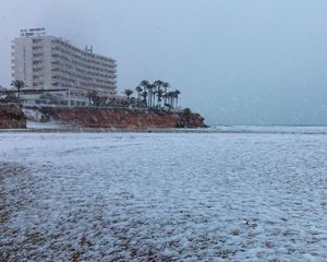 Превью обои берег, море, снег, пальмы, здание, зима