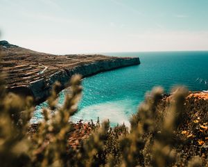 Превью обои берег, море, утес, каменный, вода, растения