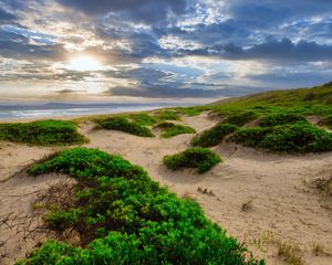 Превью обои берег, песок, растения, море, облака, природа