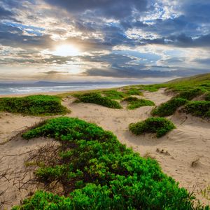 Превью обои берег, песок, растения, море, облака, природа