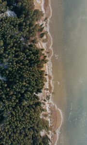 Превью обои берег, пляж, вид сверху, вода, лес, песок
