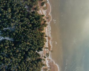 Превью обои берег, пляж, вид сверху, вода, лес, песок