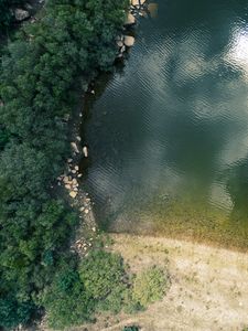 Превью обои берег, пруд, деревья, вид сверху