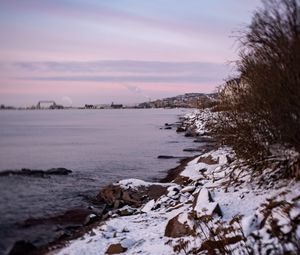 Превью обои берег, снег, море, природа