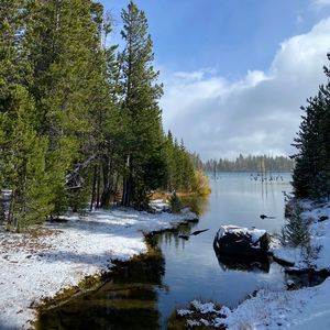 Превью обои берег, снег, река, деревья, природа