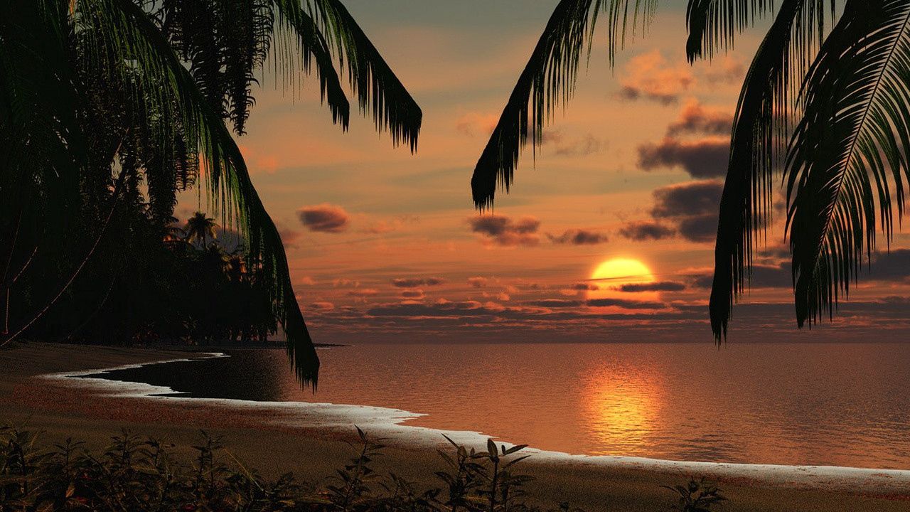 Обои берег, утро, солнце, рассвет, луна, небо, пляж, пальмы