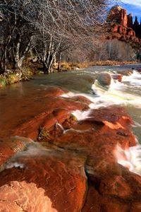 Превью обои берег, вода, камни, каньоны, деревья