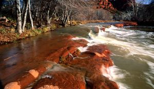 Превью обои берег, вода, камни, каньоны, деревья