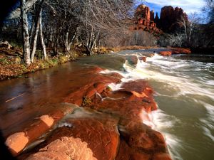 Превью обои берег, вода, камни, каньоны, деревья