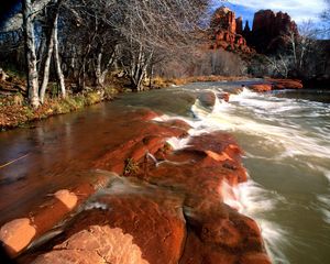 Превью обои берег, вода, камни, каньоны, деревья