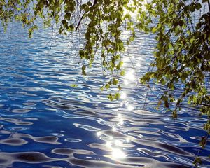 Превью обои береза, листья, вода, рябь, блики, сибирь