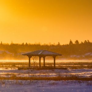 Превью обои беседка, крышка, снег, деревья, утро