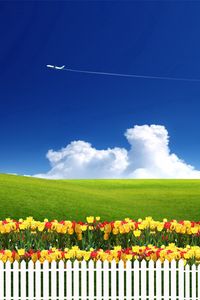 Превью обои безмятежность, тюльпаны, забор, самолет, облака