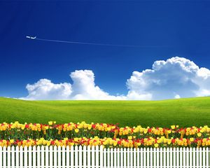Превью обои безмятежность, тюльпаны, забор, самолет, облака