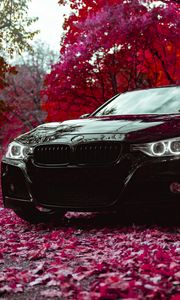 Превью обои bmw f30 335i, bmw, машина, черный, вид спереди