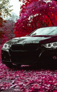 Превью обои bmw f30 335i, bmw, машина, черный, вид спереди