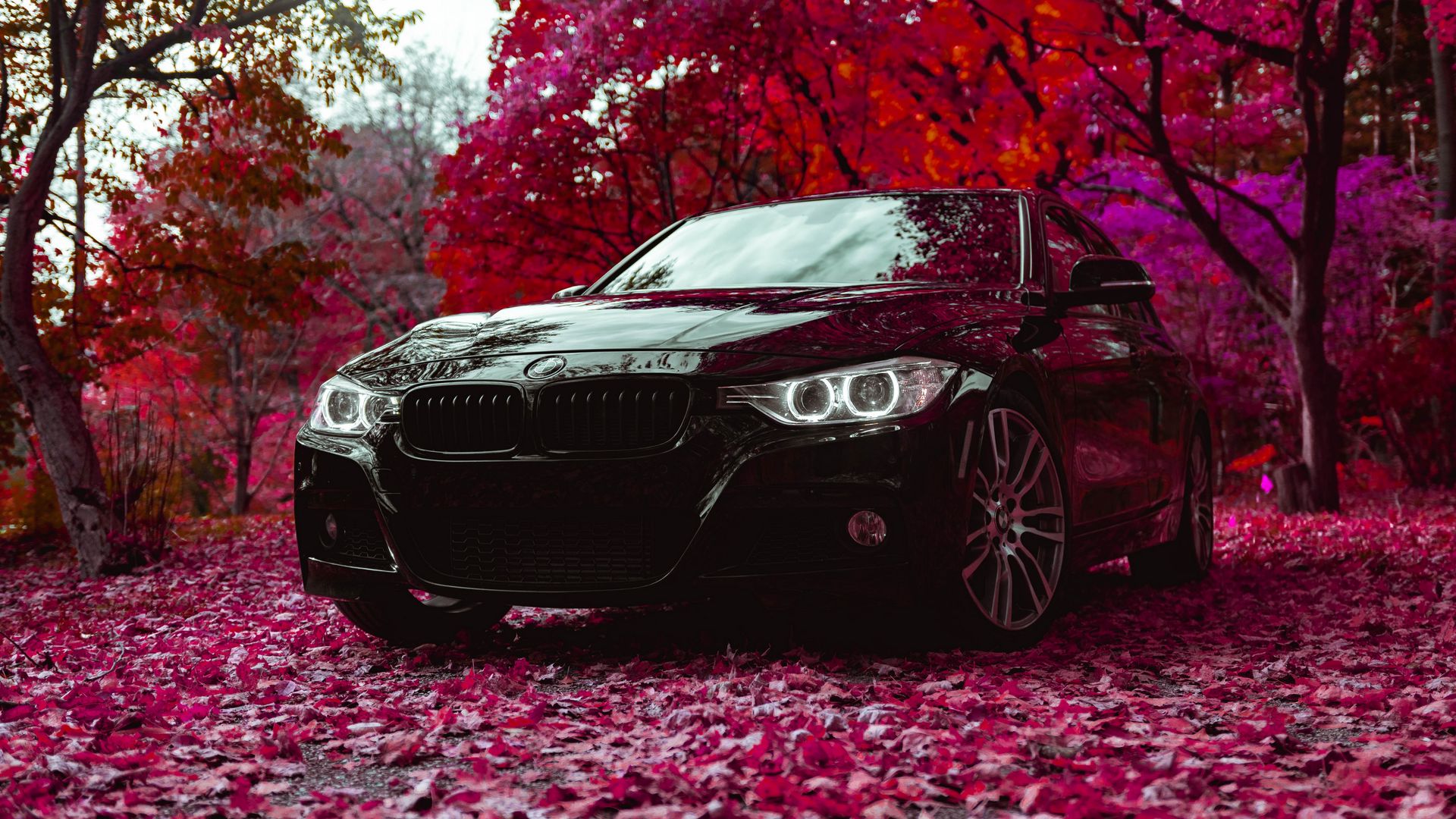 Скачать 1920x1080 bmw f30 335i, bmw, машина, черный, вид спереди обои,  картинки full hd, hdtv, fhd, 1080p