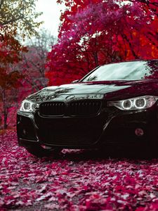 Превью обои bmw f30 335i, bmw, машина, черный, вид спереди