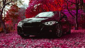 Превью обои bmw f30 335i, bmw, машина, черный, вид спереди