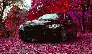 Превью обои bmw f30 335i, bmw, машина, черный, вид спереди